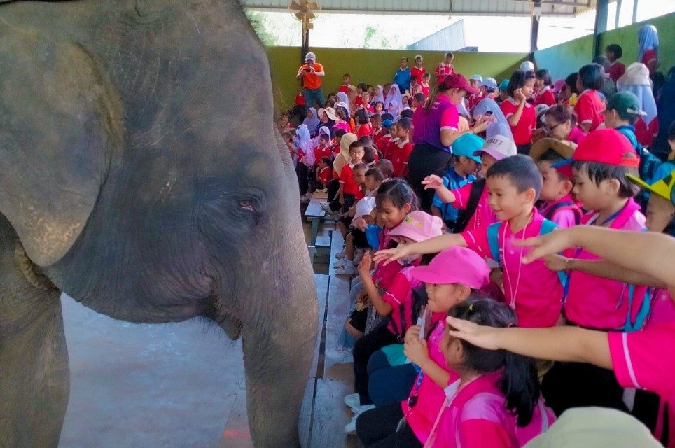 อนุบาล 3 ทัศนศึกษา ณ ปางช้าง